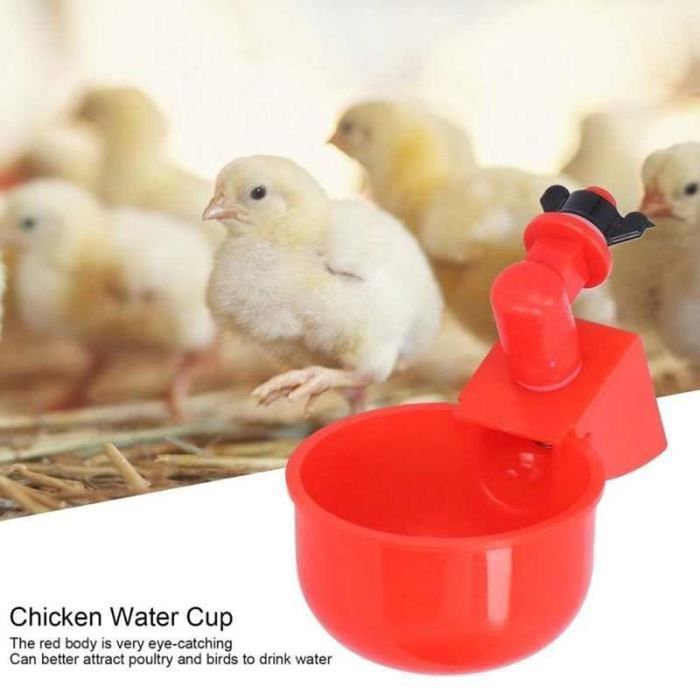 Mangeoire Poulet 3 Kg - Distributeur Grains Avec Base Stable En PP Robuste