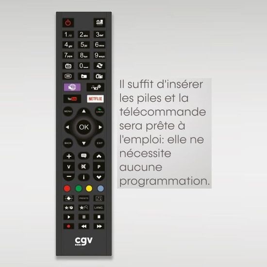 Télécommande CGV RAYline Fidelio 2 Modèle F20807-01402 - Occasion Fonctionnelle Sans Fil