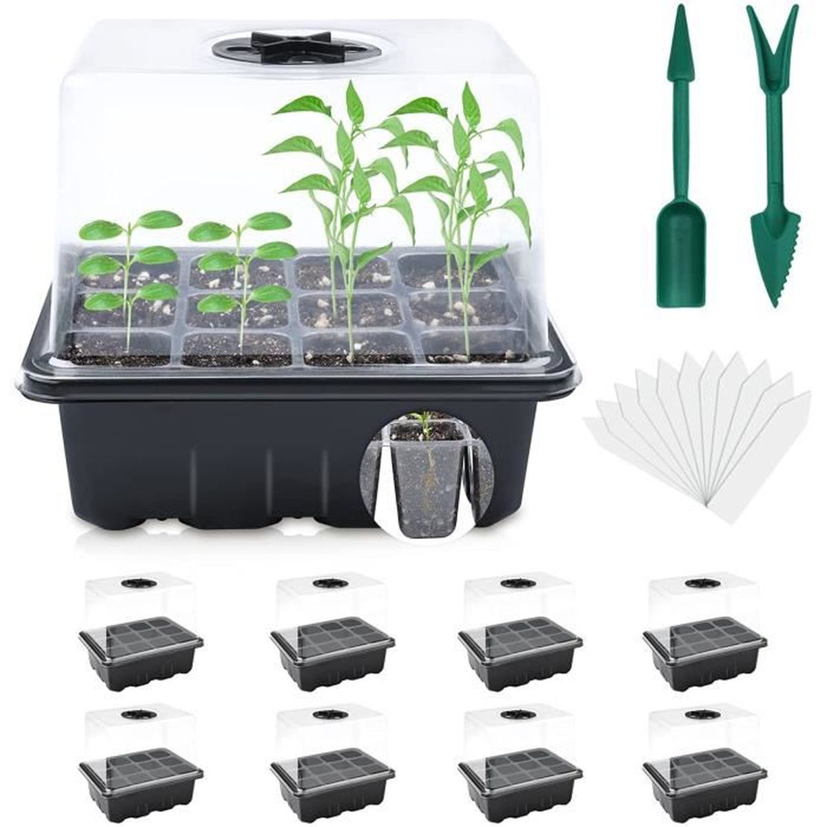 8 Pièces Bac à Semis Mini Serre pour Semis Potager avec Couvercle