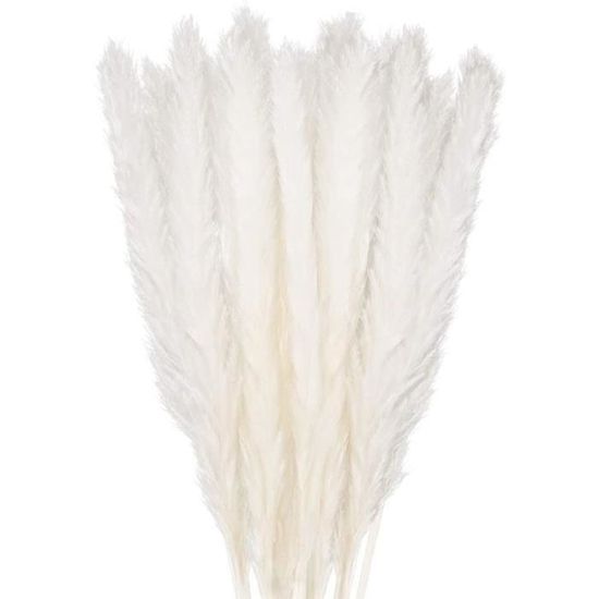 110 Tiges D'Herbe De La Pampa Séchée Naturelle - 42.5cm - Blanc, Brun, Roseau, Queue De Lapin | Décoration Boho
