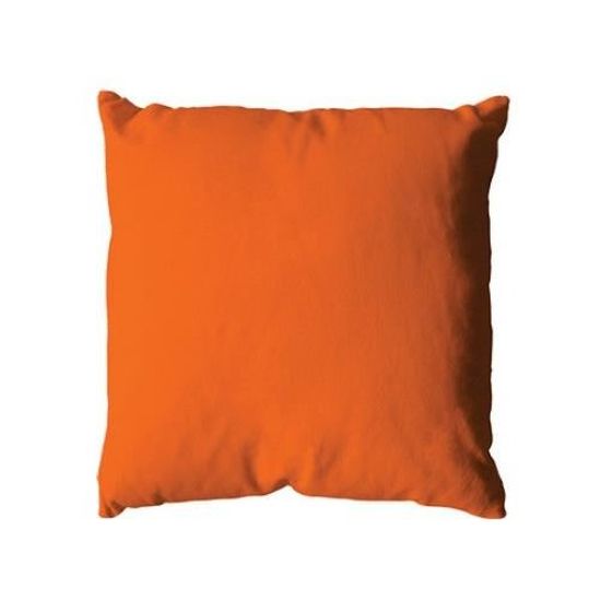 Enjoy Home Coussin 40 x 40 400g Anis Coton