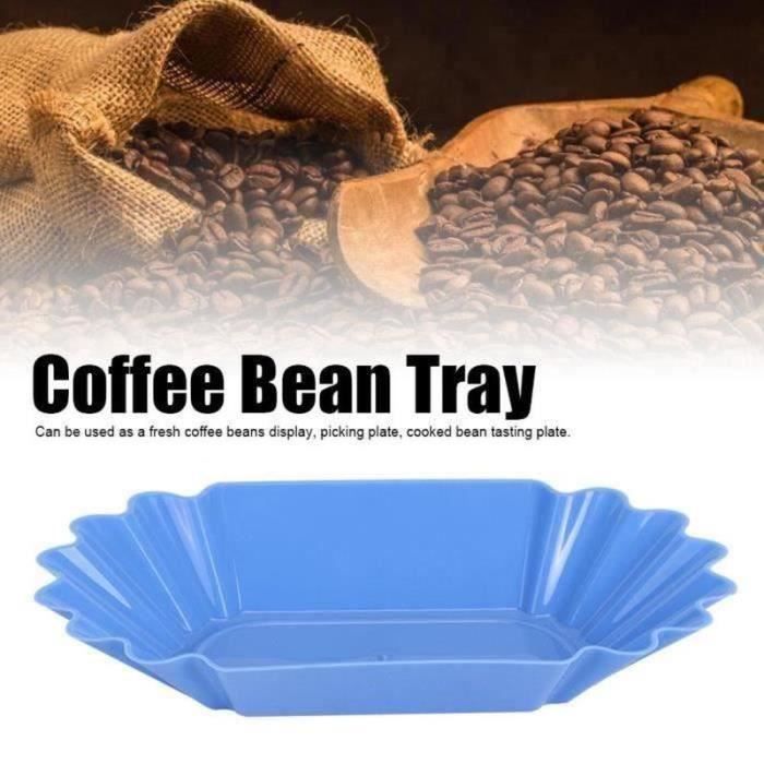 FLY29520-Nourriture PP grains café échantillon plateau affichage plat récipient accessoires domicile en plastique (bleu clair)