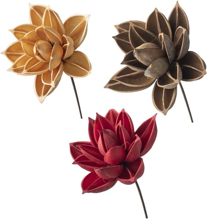 Lot De 30 Capsules De Lotus Naturelles Pour Décoration De La Maison