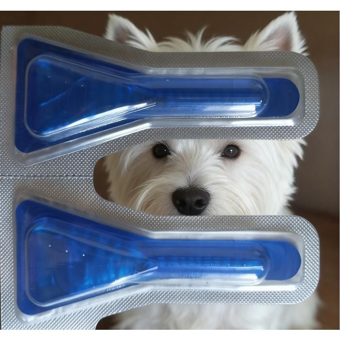Meilleurs prix pour Spot On Chien - Anti Puces Anti-Tiques & Poux broyeurs - 2 Pipettes - Pour Petit Chien 2 à 10 kg