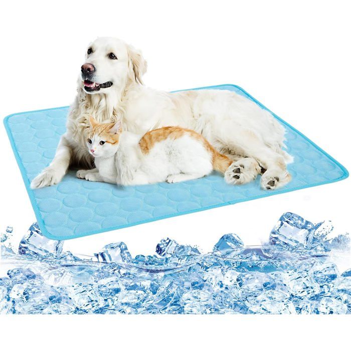 Tapis D'eau Pour Chien – Pataugeoire Antidérapante 170 Ou 200 Cm – En PVC, Facile à Nettoyer, Pour Jardin, Plage Ou Anniversaire
