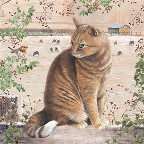 Puzzle 1000 Pieces Chat Roux Dans Paysage Hivernal Achat Vente Puzzle Cdiscount Puzzle 1000 Pieces Chat Roux Dans Paysage Hivernal Achat Vente Puzzle Cdiscount