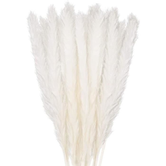 Bouquet Pampas Séchées 100 Pièces - Queue De Lapin, Herbe Et Pampas Naturelles Pour Déco Boho