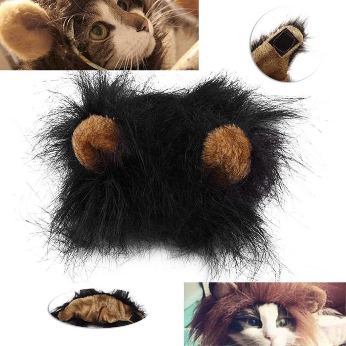 Costume Pour Animaux De Compagnie Perruque De Criniere De Lion Pour Chat Halloween Fete De Noel Habiller Avec Oreille Noir M Cdiscount Costume Pour Animaux De Compagnie Perruque De Criniere De Lion Pour Chat Halloween Fete De Noel Habiller Avec Oreille Noir M Cdiscount