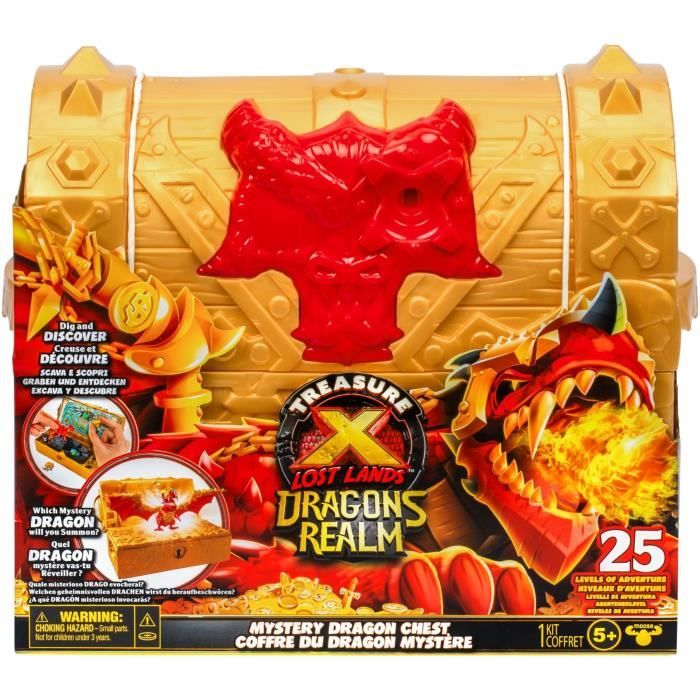 COFFRE AUX TRÉSORS DRAGONS REALM TRESOR X