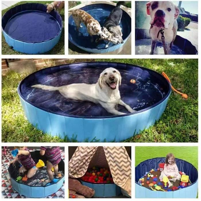 Piscine Pliable Pour Chien – PVC Renforcé 120 X 30 Cm – Fond Antidérapant – Sans Gonflage – Pour Chien, Enfant, Extérieur – Bleu
