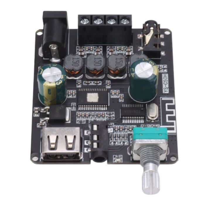Carte Ampli Stéréo Bluetooth Haute Puissance – 220V EU (noir)