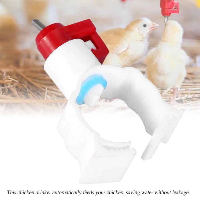 Abreuvoir Automatique Pour Poulets, Distributeur D'eau à