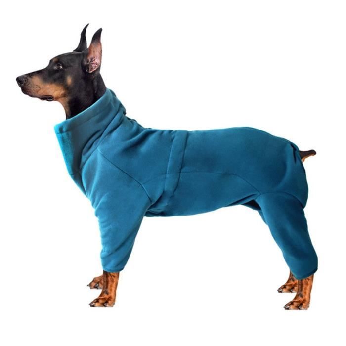 Manteau pour hotsell grand chien