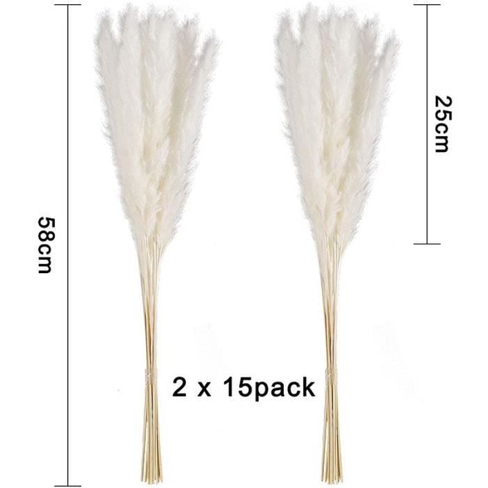 30 pcs Herbe de la Pampa, 58 cm Naturel Pampa Fleur Bouquet de Fleurs ...