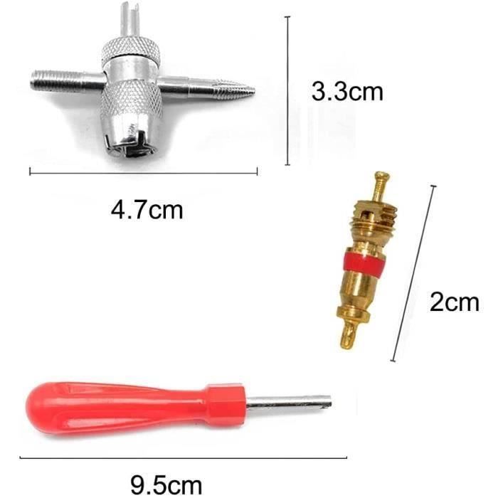 SZXMDKH Kit 100 Demonte Valve Pneu + 100 Coeurs Valve - Outil Réparation Pneu Voiture Moto