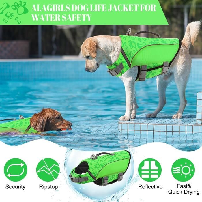 Gilet De Sauvetage Bouledogue Fran ais S curit Pour Animaux De