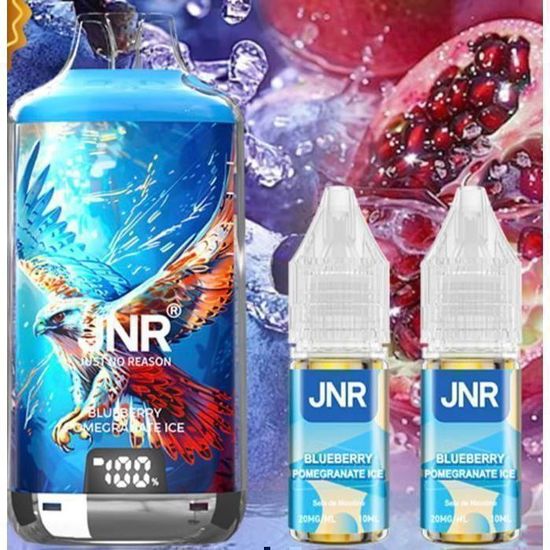 JNR - Kit Blueberry Pomegranate Ice 28k 2X10ml Liquide - Falcon-X -  Cdiscount Au quotidien