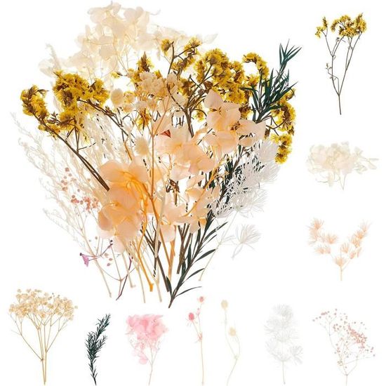 8 Mini Bouquets De Fleurs Séchées Naturelles - Pour Scrapbooking, DIY, Décoration Maison, Cadeau Personnalisé