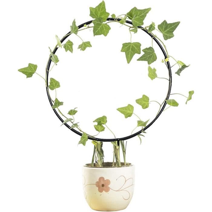 Treillis Métallique Pour Plantes Grimpantes 80 Cm - Support Extérieur Pour Rosiers, Clématites, Tomates... - 8