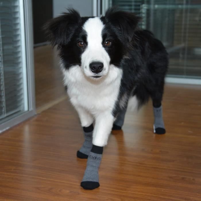 L Chaussettes pour chien antidérapantes pour une utilisation en intérieur, protection des pattes