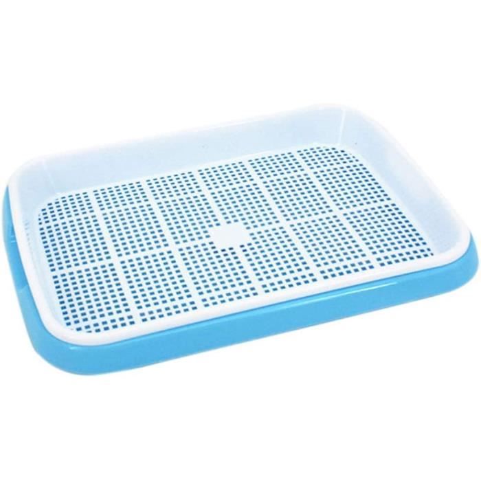 TRAHOO-Lot De Graines D'herbe à Chat, 15 G X 10 Paquets, Avec Plateau