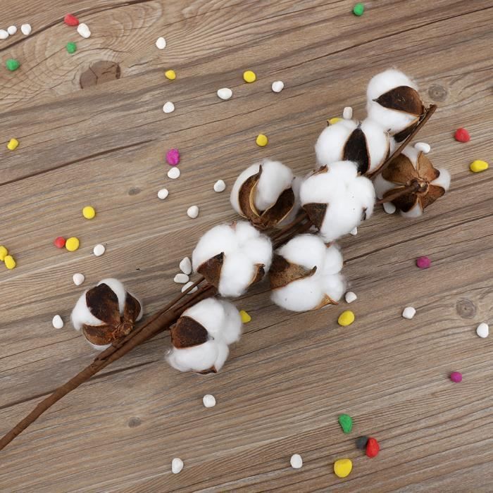 Fleurs De Coton Séchées Naturelles 10 Pièces - Tiges 42 Cm - Décoration Maison, Bouquet Sec, Style Rustique