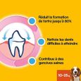Pedigree Dentastix - Friandises pour moyen chien, 70 bâtonnets à mâcher pour l'hygiène bucco-dentaire (10 sachets de 7  33262-1