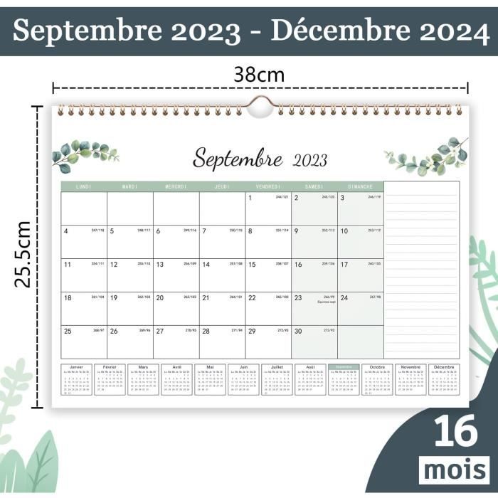 Planning annuel - Septembre 2023 à août 2024 - Grand format - Pour la  famille - Cdiscount Beaux-Arts et Loisirs créatifs