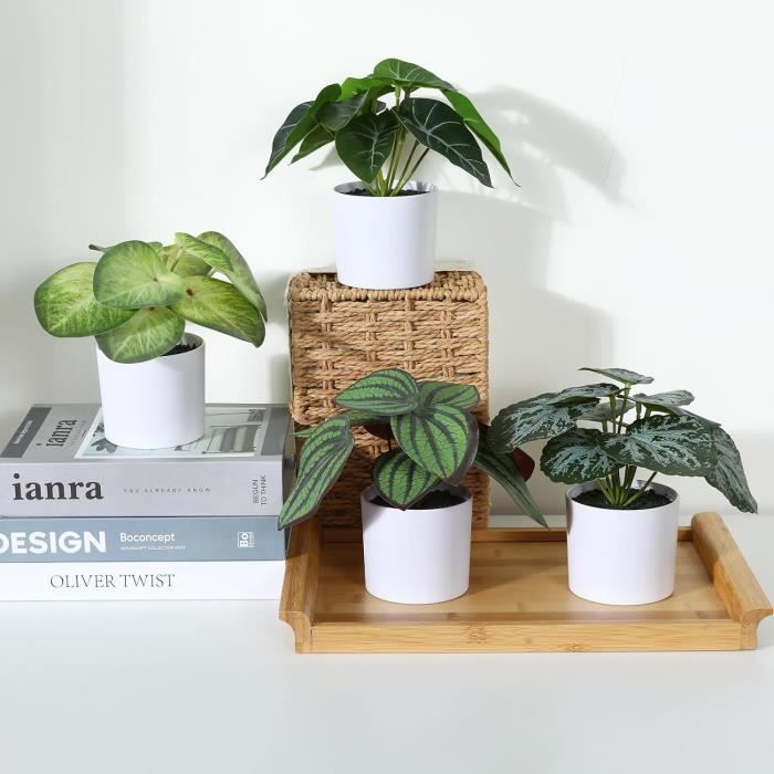 Mini Plantes Succulentes Décoratives Maison 14 Succulentes Artificielles Mini Echeveria - Plantes Faux Déco Maison Jardin Fée Décoration Intérieur Plantes