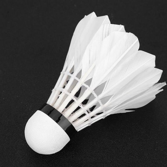 Rotyroya Lot de 10 volants de badminton professionnels en nylon résistant  et stable pour jeunes joueurs intérieur/extérieur Blanc : : Sports  et Loisirs