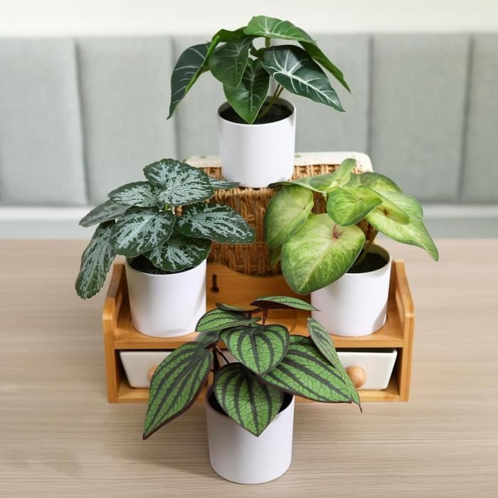 6 Mini Plantes Succulentes Artificielles En Pot - Décoration Intérieure Réaliste, Sans Entretien