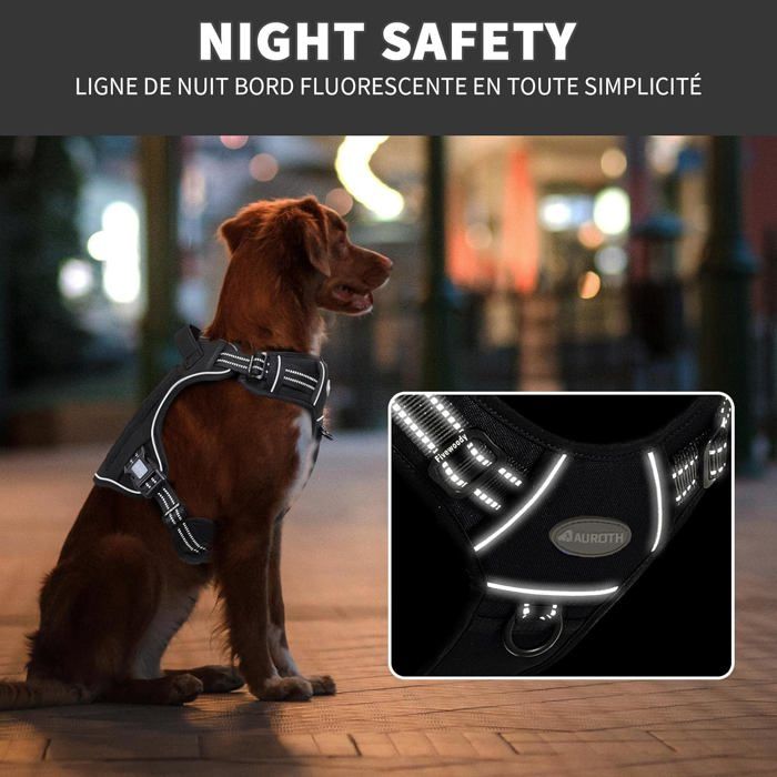 Harnais Lumineux Pour Chien Taille Moyenne - Rechargeable LED, Réfléchissant Et Rembourré Pour Sécurité Nocturne