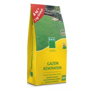 GAZON NATUREL Gazon Rénovation marque BHS, sac de 5 kgs dont 1 gratuit , 250m²-
