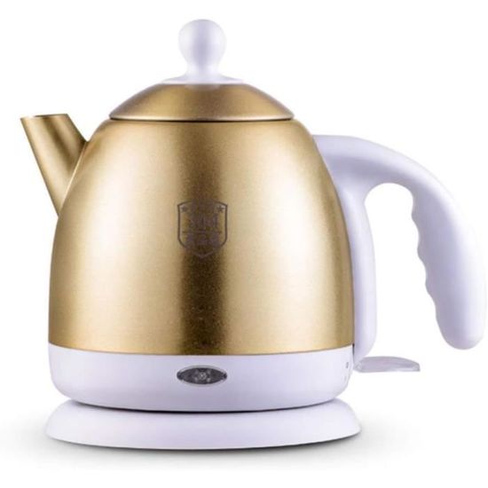 TOYANDONA Bouilloire Acier Inoxydable Pratique Pour Induction Et Gaz