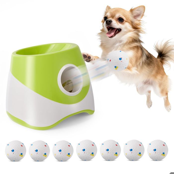 Meilleurs prix pour Lanceur De Balle Automatique Petit Lanceur De Balle Interactif Lanceur De Balles pour Chiens avec 10 Mini Balles De Tennis