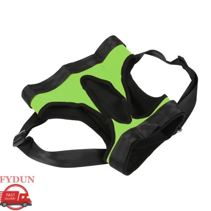 Meilleurs prix pour FYDUN Harnais de levage pour chien agé - Aide à la mobilité - Soutien pour pattes arrières