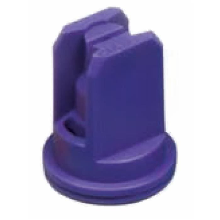 Lot de 2 Buse ARAG CFA à fente à injection d'air 110° Violette 