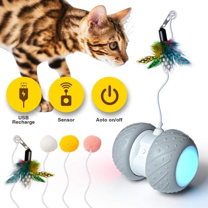 Watsabro Jouet Chat Interactif Automatique Jeu Chat Avec Plume Accessoire Pour Chat Balles Chat Avec Lumiere Led Et Batt Achat Vente Jouet Watsabro Jouet Chat Inter Cdiscount Watsabro Jouet Chat Interactif Automatique Jeu Chat Avec Plume Accessoire Pour Chat Balles Chat Avec Lumiere Led Et Batt Achat Vente Jouet Watsabro Jouet Chat Inter Cdiscount