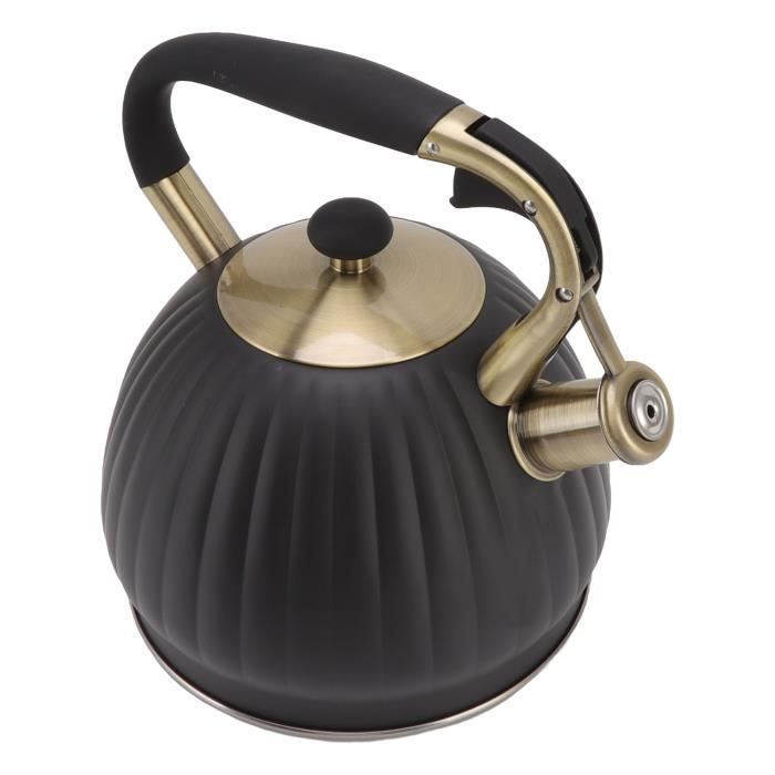 Bouilloire en acier inoxydable, 3,8 litres - Rosenstein & Söhne