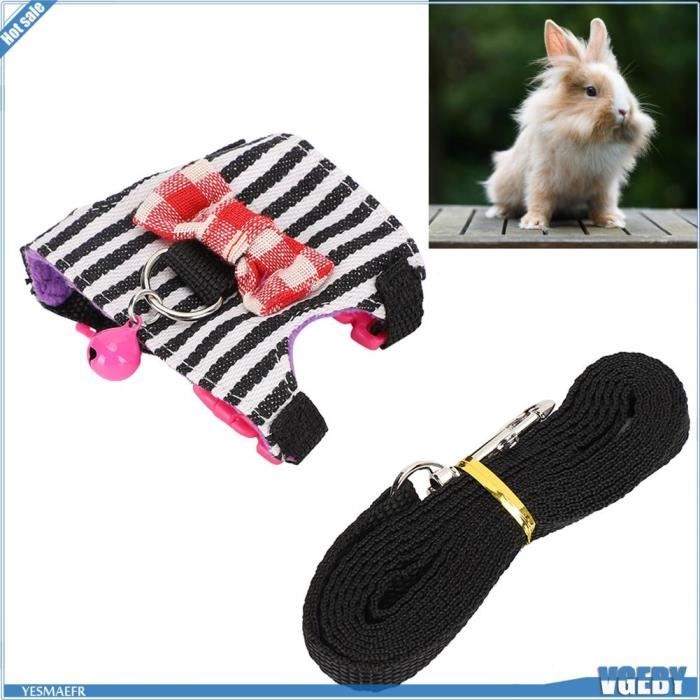 Comparer les prix de Ensemble Laisse et Harnais - V GEBY - Furet - Confortable - Respirant - Taille S/M