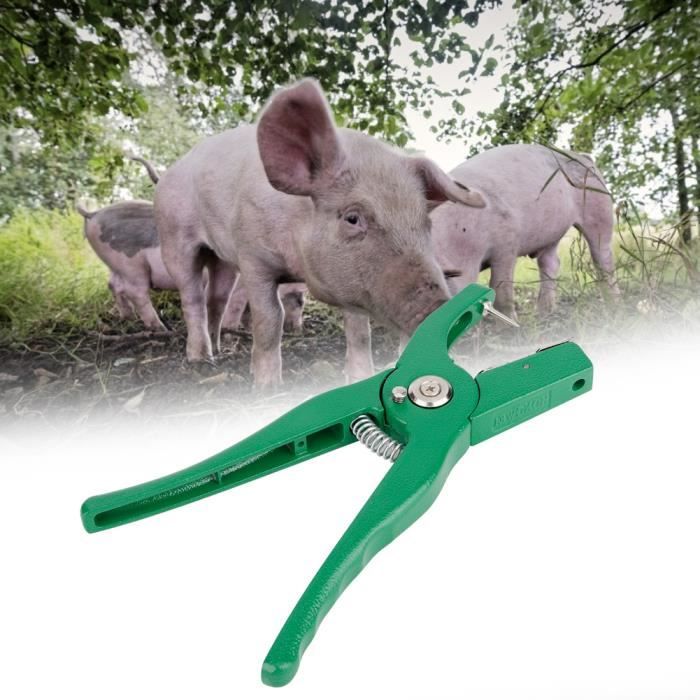 Pince de marquage à tatouer robuste à 4 chiffres pour l ... - Alibaba