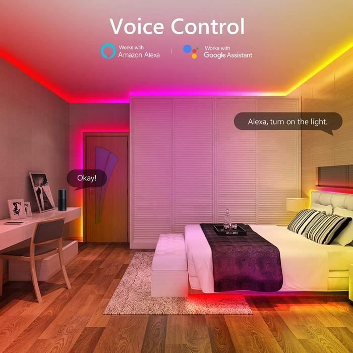 Tasmor 2025 dreamcolor led