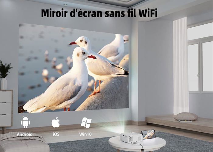 Mini Videoprojecteur, 1080P Full HD 12000L Projecteur Portable