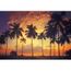 Poster Papier Peint Plages Coucher De Soleil Palmiers