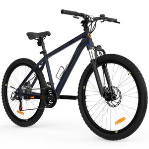 Vélo Alpina urban 28″ roxy - Vélo Direct
