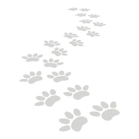 Stickers Trace De Chat Ref T Mk1053 Gris Clair 46x57 Cm Cdiscount Maison