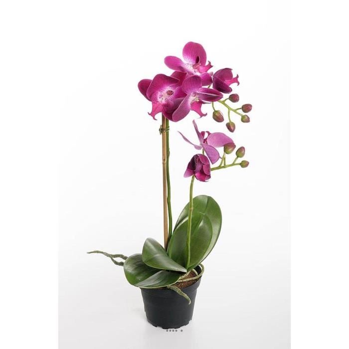 Orchidee artificielle 2 hampes en pot H 40 cm toucher reel Erica