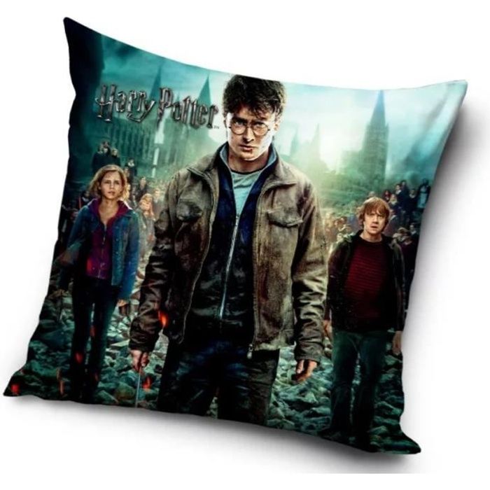 Coussin décoratif Harry Potter déhoussable en 40x40 cm motifs Harry Hermione et Ron recto verso