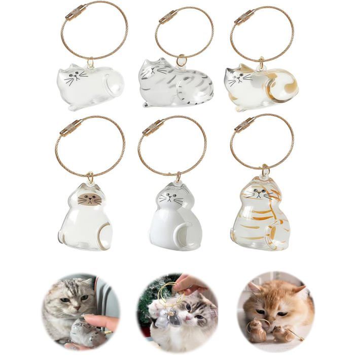 Porte-clés Souvenir Pour Poils De Chat – Boîte Transparente En Forme De Chat – Mémoire Animal De Compagnie