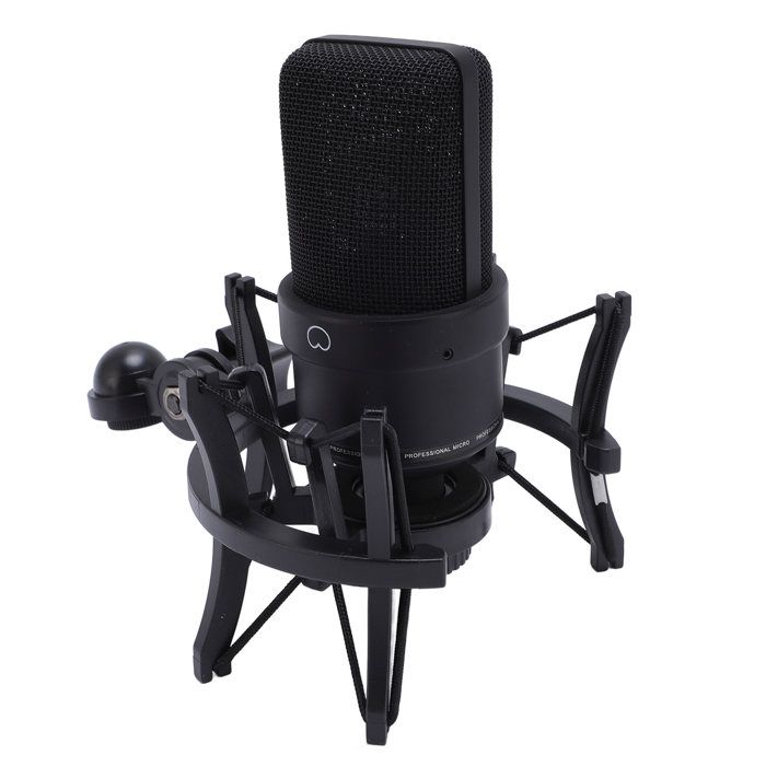 Blue Microphones Bluebird SL Microphone à condensateur grand diaphragme
